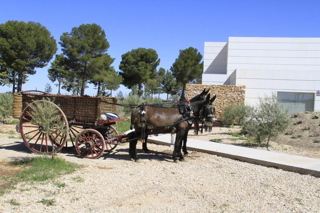 Luz De Alba Βίλα Argamasilla de Alba Εξωτερικό φωτογραφία